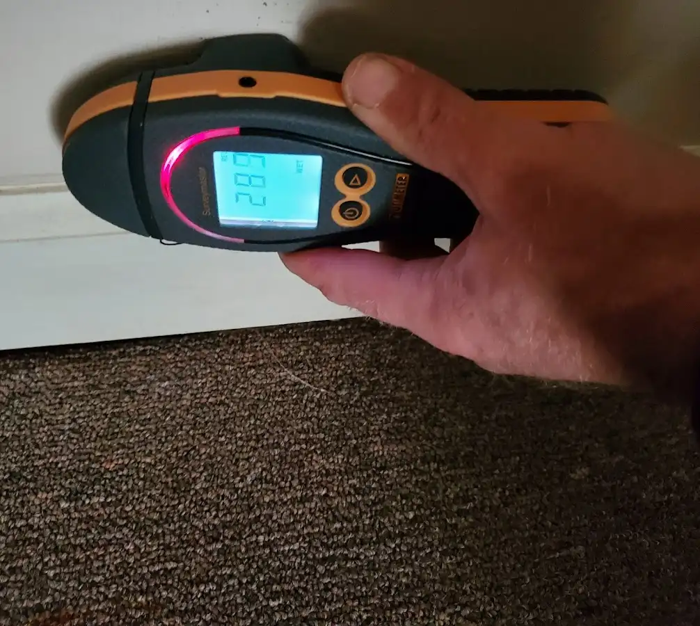 Moisture detection at baseboard during Sewage Cleanup & Sanitation in Plainfield